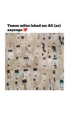 Tumse Milne lahad me Ali (as) aayenge