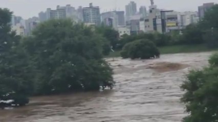 대전 중구 가장교 침수 / YTN