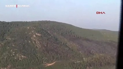 Bodrum'da orman yangını: 2024'ün en ciddi yangınlarından biri