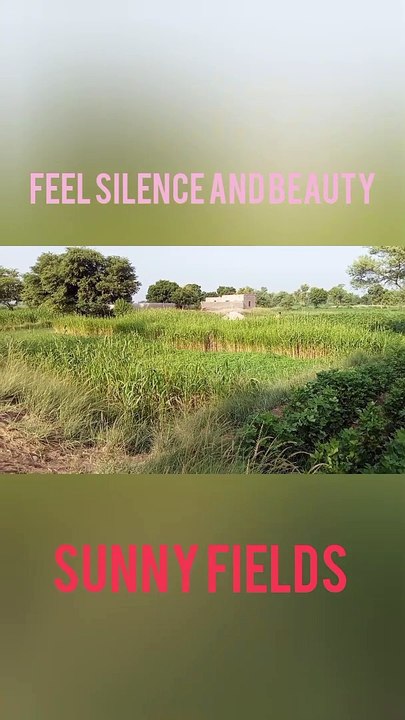 Feel silence
