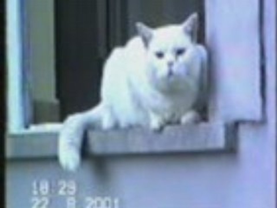 Casper est inquiet!