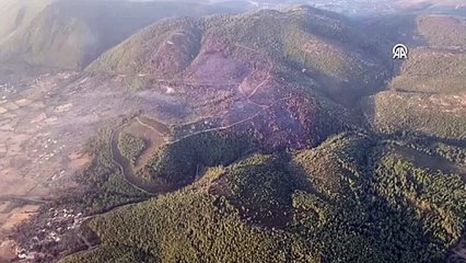 Bodrum'daki orman yangını kontrol altına alındı