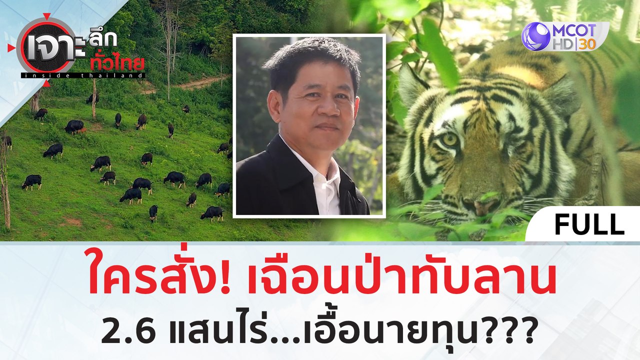 (คลิปเต็ม) ใครสั่ง! เฉือนป่าทับลาน 2.6 แสนไร่...เอื้อนายทุน??? (9 ก.ค. 67) | เจาะลึกทั่วไทย