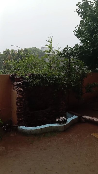 Rain
