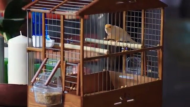 Waada (The Promise) - Episode 16 | URDU Dubbed | Season 1 [ترک ٹی وی سیریز اردو میں ڈب