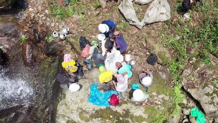 Climate change hits Nepal's hallucinogenic honey hunters