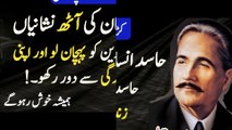 Haased insaan ki 8 neshania | Alama Iqbal quotes in urdu | haasedeen ko pehchan lo aur apni Zindagi se door bagha do | Islamic words | #quotes