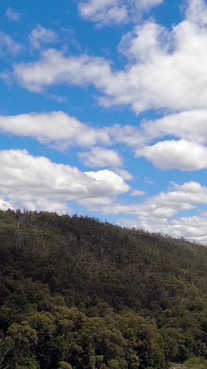 Canning Dam Too