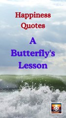 10 Daily Quotes | Happiness Quotes | Daily Happiness Quotes | Inspiring Quotes | Motivational Quotes #shorts