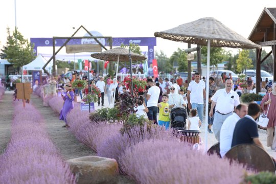 Yeni trend lavanta bahçeleri: Karatay Lavanta Günleri başladı