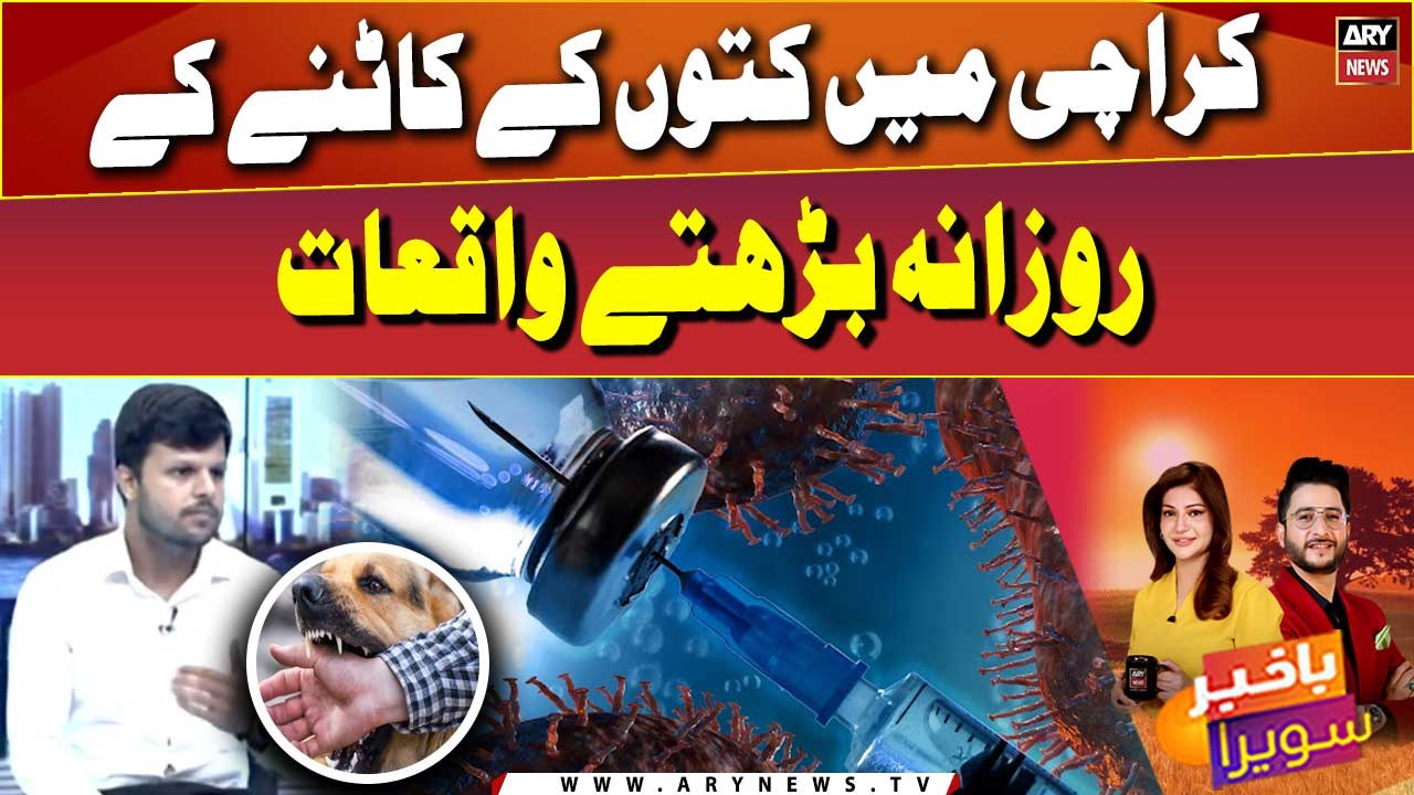 Spike in dog attacks in Karachi poses mortal threat
