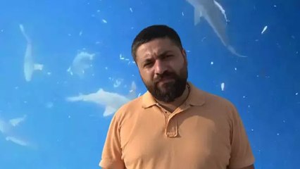 Akdeniz’in derinliklerinde dalgıçlar, köpek balığı sürüsüyle burun buruna geldi