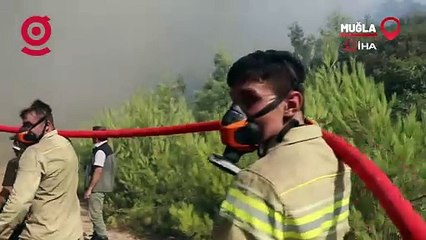 Bodrum'daki Orman Yangını Kontrol Altına Alındı