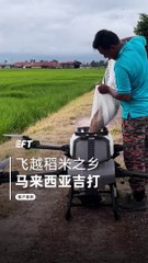 Flying Over Kedah And Boosts Local Rice Yield— EFT Z30 Drone