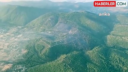 Bodrum'daki Orman Yangını Kontrol Altına Alındı