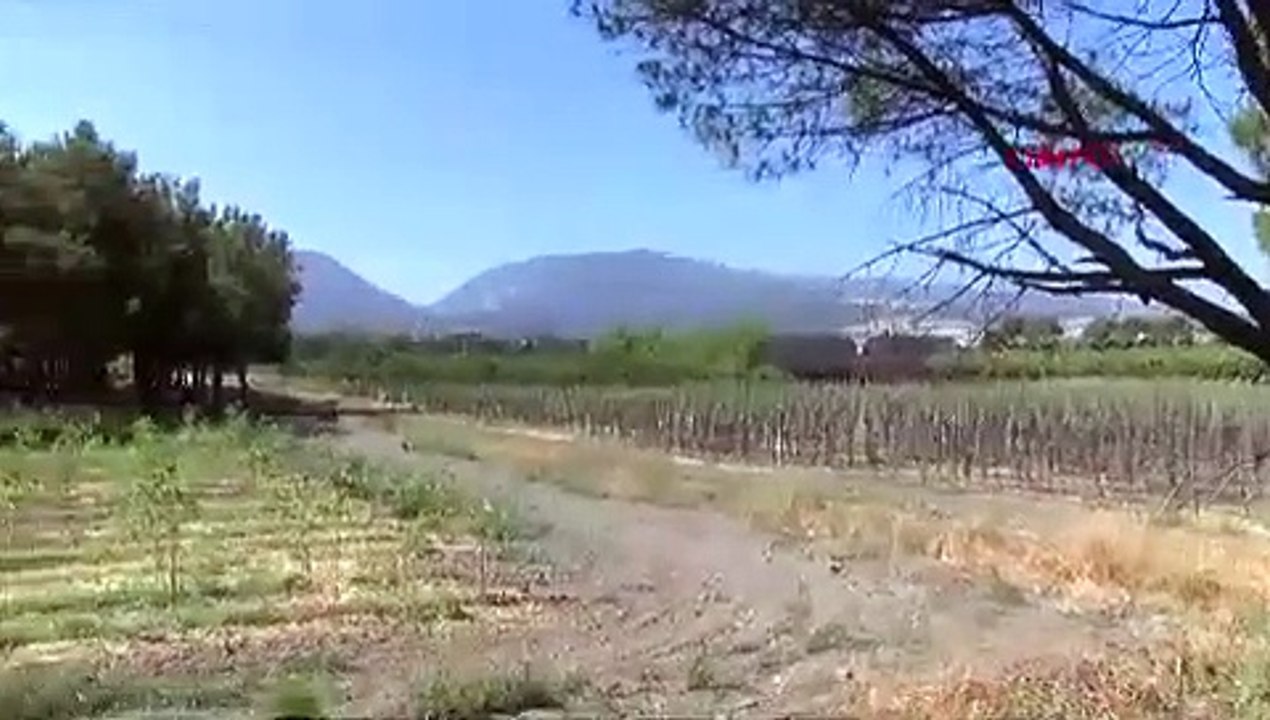 Bir ilimizin başına talih kuşu kondu: İşte Çinli BYD'nin yatırım yapacağı ilimiz