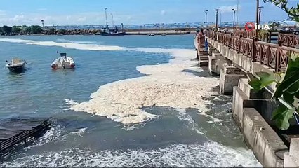 Karadeniz'de tedirgin eden görüntü: Analiz sonuçları açıklandı