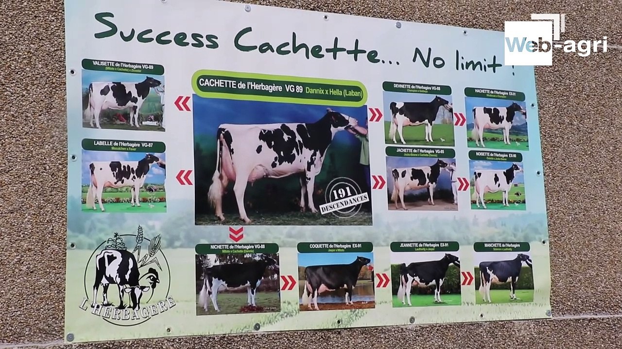 Urbain Moureaux : « La génétique, une passion devenue diversification »