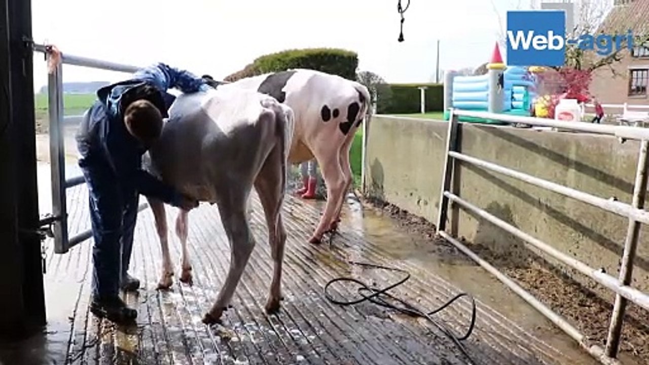 Urbain Moureaux : « La génétique, une passion devenue diversification »