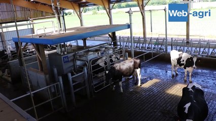 Un bâtiment neuf pour regrouper 3 troupeaux laitiers et produire 1,9 M de litres