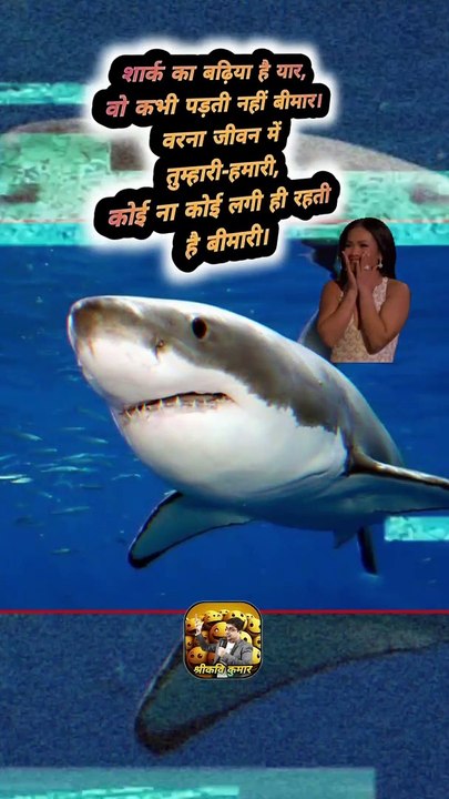 शार्क कभी बीमार नहीं पड़ती   #shorts #shortsfeed #sharks #trending #ShriKaviKumar