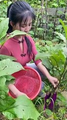 Cute Woman Harvesting Fresh Vegetables: A Garden Delight