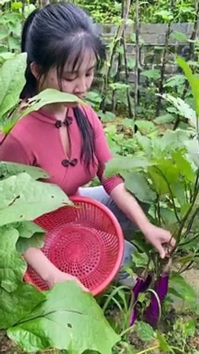 Cute Woman Harvesting Fresh Vegetables: A Garden Delight