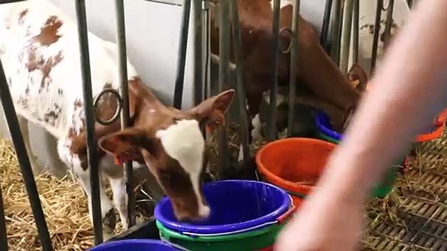 Diarrhées et maladies respiratoires : agir pour éviter de lourdes conséquences