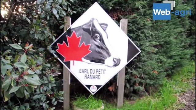 Les fromagères hautes productrices de l'EARL du Petit Ramard (69)