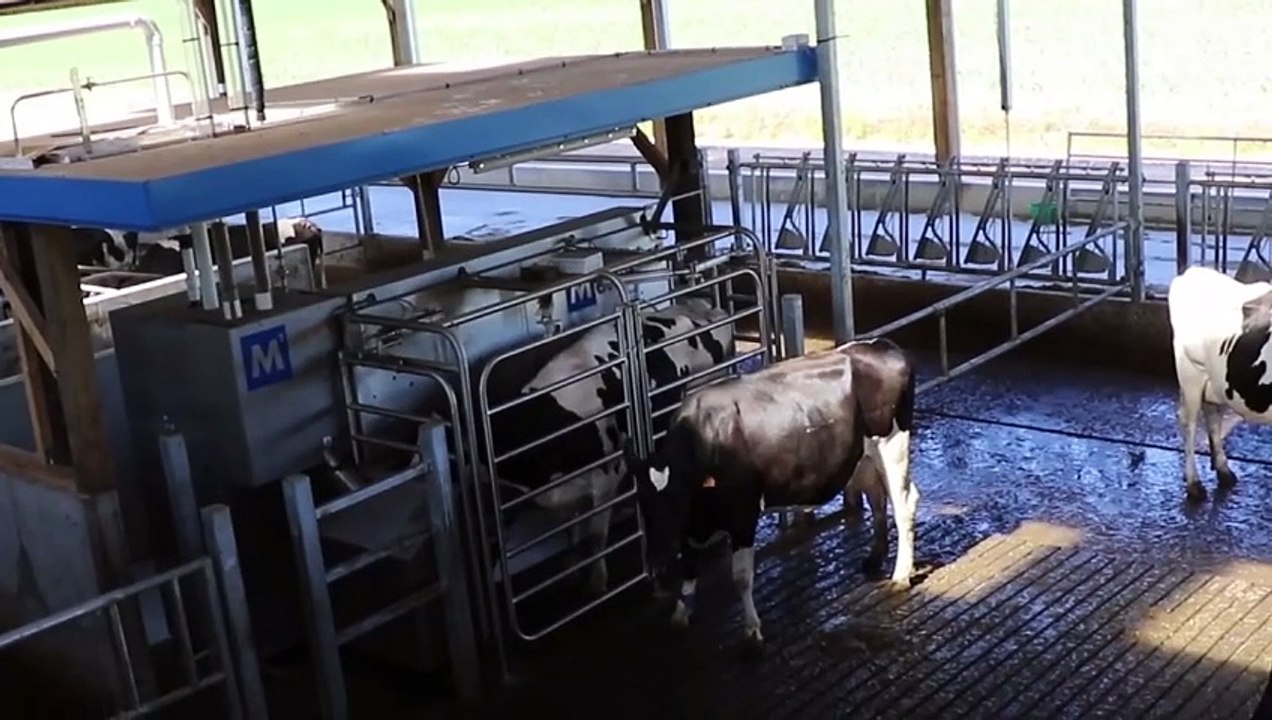 Monter un atelier de transformation à la ferme : par quoi commencer ?