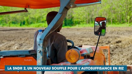 Un nouveau souffle pour la filière riz en Côte d'Ivoire pour atteindre l'autosuffisance