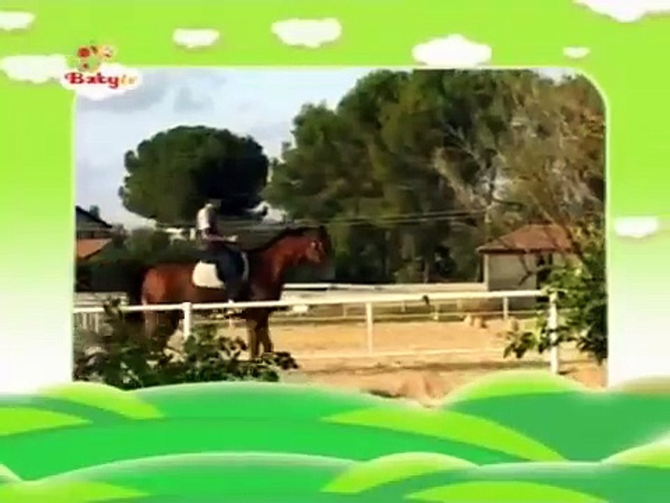 BabyTV Run Horsey Run english