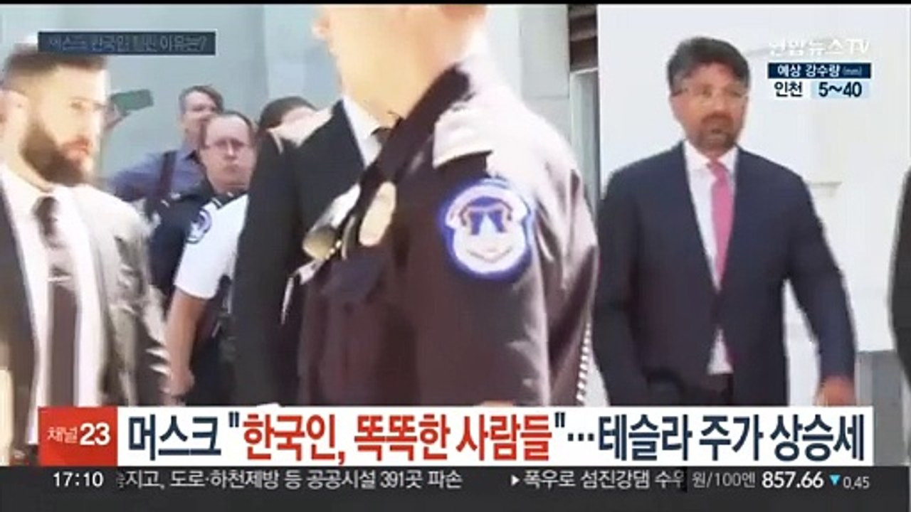 머스크 "한국인, 똑똑한 사람들"…테슬라 주가는 10거래일째 상승
