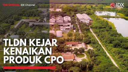 TLDN Kejar Kenaikan Produk CPO