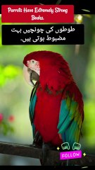 Animalfacts | animal lovers | Facts in urdu | Facts in English