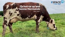 Deux sœurs, 50 Normandes et une passion pour les concours - copie