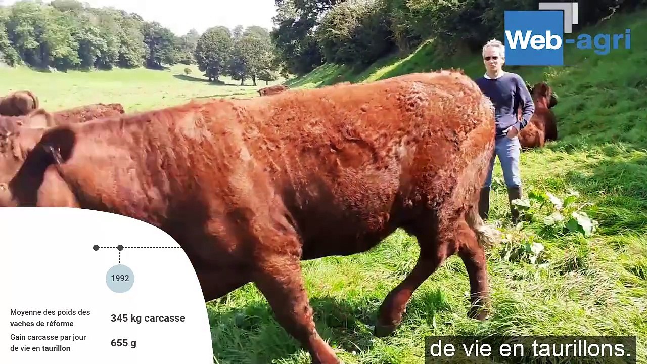 Faire plus de veaux avec moins de vaches