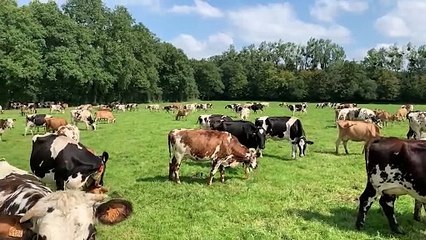 Q. Alteyrac (Pâturesens) dresse le bilan de cette saison de pâturage 2021