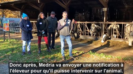 P. Catteau (78): « Une meilleure détection des chaleurs et des animaux malades »