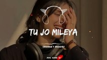 TU JO MILEYA SONG SLOWED REVERB #slowedreverbsong