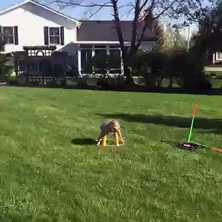 KIDS CHILLL