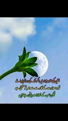 تو پھر وہ معذرت کے گارے سے بھی نہیں بھر سکتا 