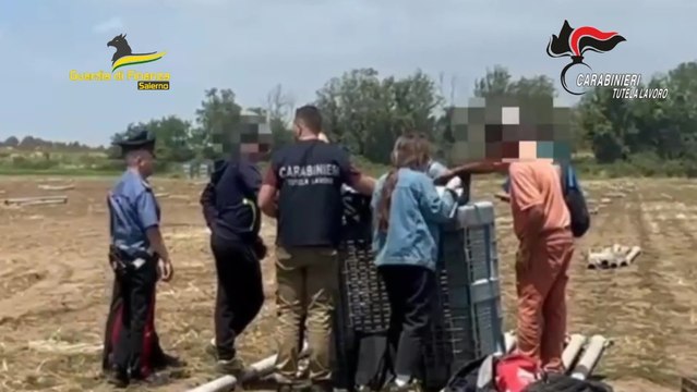 Immigrazione clandestina con illecito utilizzo del “click day”: 47 arresti in nove province (10.07.24)