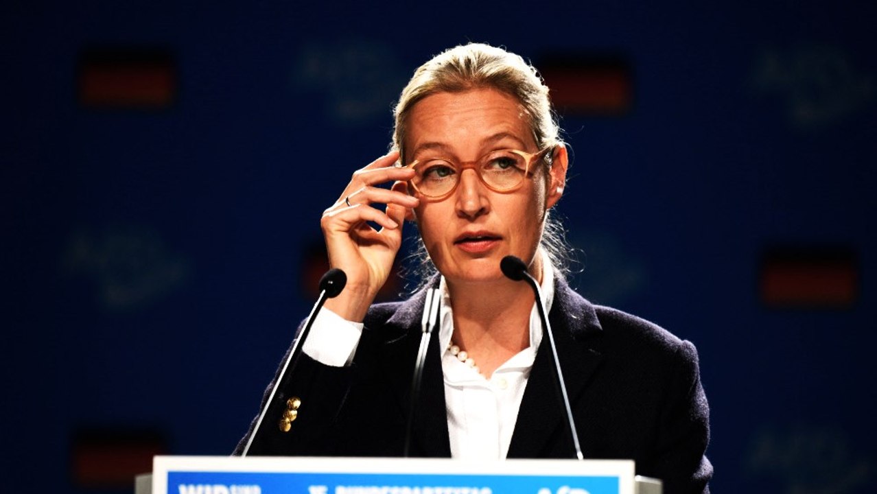 AfD gründet EU-Fraktion der Rechtsextremen