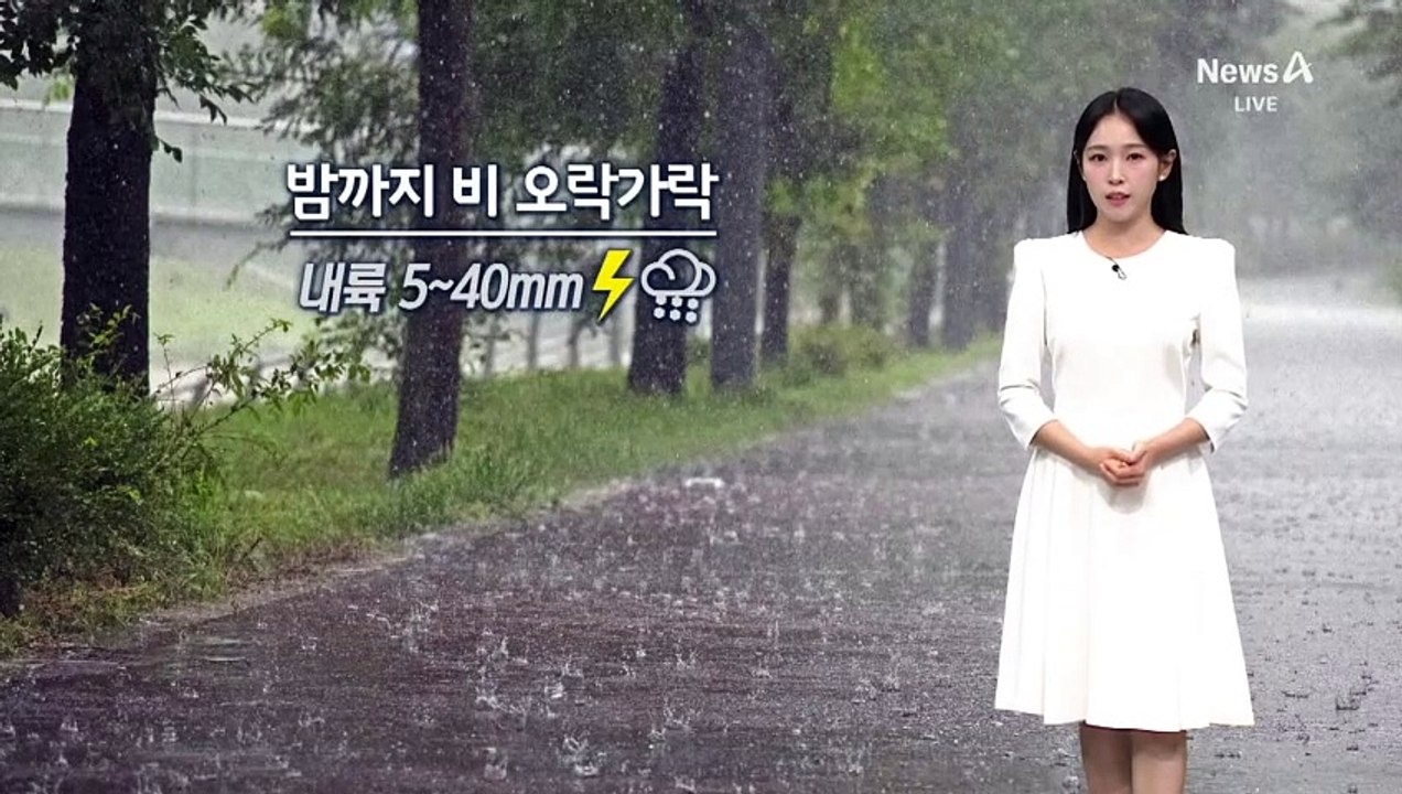 [날씨]밤까지 곳곳 비…내일 무더위 속 소나기