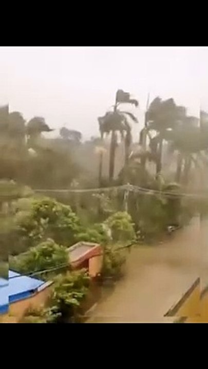 Disaster