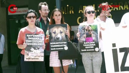 İzmir Barosu’ndan ''sokak hayvanları'' kanuna tepki