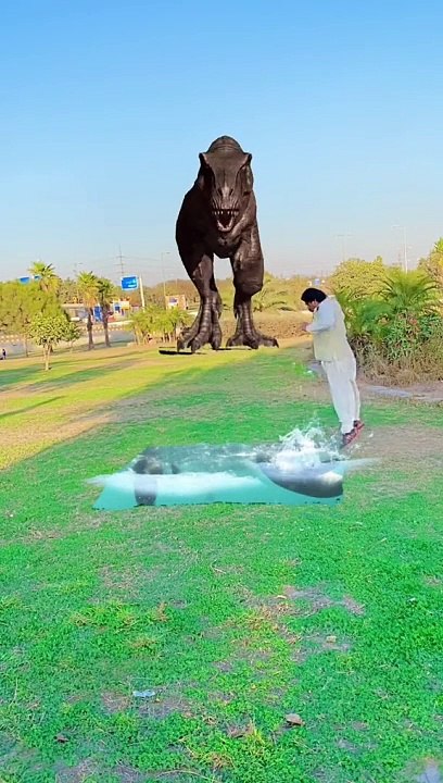 funny video  magic
