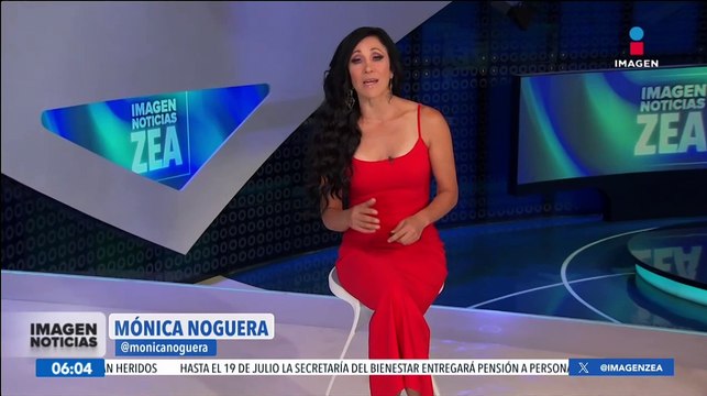 Felinos rescatados de la fundación Black Jaguar White Tiger se recuperan