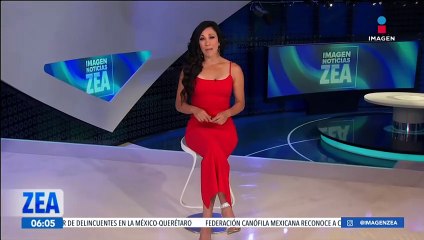 Captan a decenas de tiburones en el golfo de México